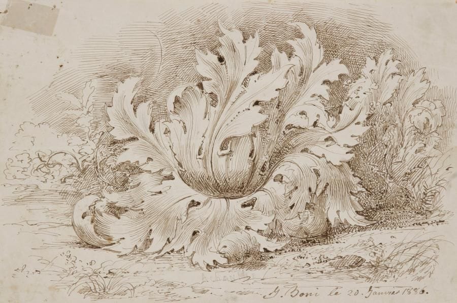 Jean BONI

Étude d'une feuille d'acanthe
Plume et encre brune.
Signée et datée en bas à droite J. Boni le 20 Janvier 1886.
20 x 30 cm