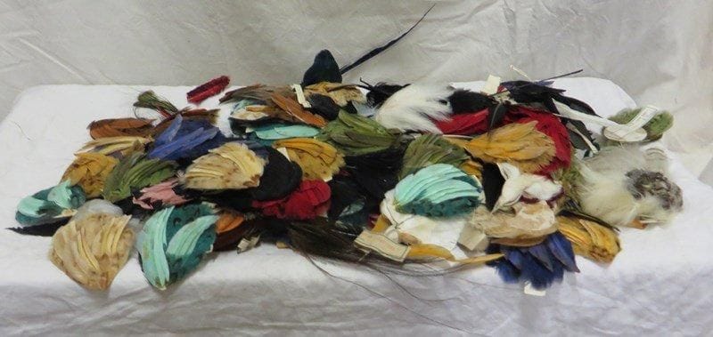 Lot de plumes d'aigrettes façonnées pour la chapellerie.