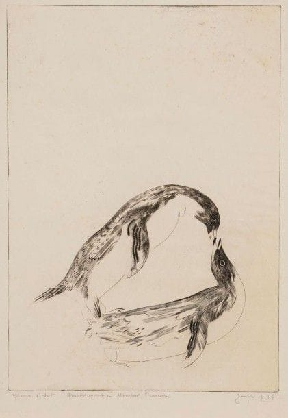 Joseph HECHT (1891-1951)

Deux pingouins. 1927. Burin. 227 x 325. Plumart, Tonneau-R. 142. Très belle épreuve sur vergé, annotée «épreuve d'état», dédicacée et signée au crayon. Courte déchirure dans l'angle supérieur droit. Quelques rousseurs claires. Toutes marges. Tirage définitif à 40 épreuves