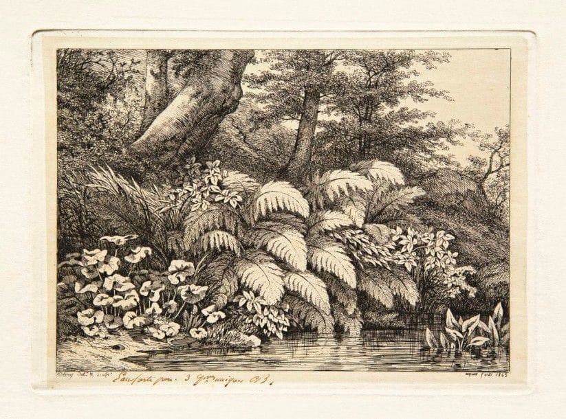 Eugène BLÉRY

Le Ruisseau aux deux arbres penchés ; La Fougère au plantain d?eau ; Les Petits tussilages. 1845. Eau-forte. Chaque env. 170 x 235. Beraldi 110, 148 et 151. Très belles épreuves d?état à l?eau-forte pure, sur chine ou bulle appliqué, signées et annotées à la plume et à l?encre ou au crayon. Rousseurs éparses. Toutes marges. Ens. 3 p