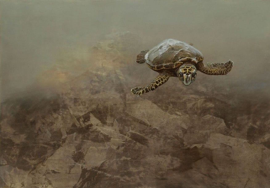 Roland CAT (né en 1943)

Tortue
Huile sur toile.
Signée en bas à gauche.
38 x 55 cm