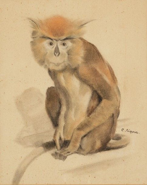 Jean Camille CIPRA (1893-?)

Singe
Dessin au crayon et fusain
Signé vers le bas à droite.
25.5 x 21 cm