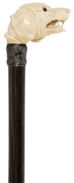 Canne de marche
Pommeau en ivoire sculpté en ronde bosse d'une tête de chien, aux yeux de sulfure (petits éclats). Bague en argent ciselée de feuillages. Fut en palissandre. 
B.E. Fin XIXe siècle.
H.: 92 cm