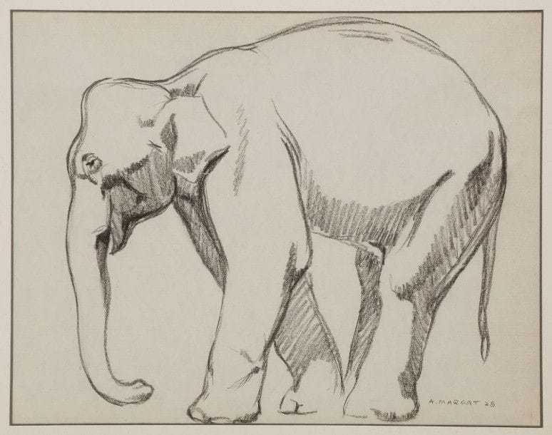 ANDRÉ MARGAT (1903-1997)

Éléphant, 1928
Fusain.
Signé et daté en bas à droite.
28 x 34 cm