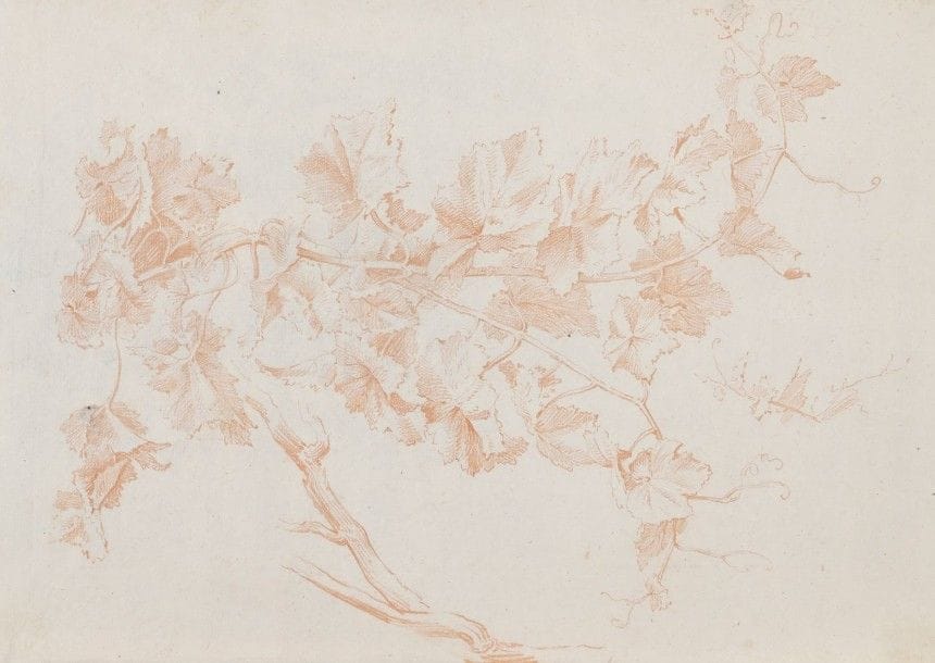 Jean Baptiste HUET (Paris 1803-1869)

Une contre-épreuve de pied de vigne
Sanguine.
24 x 34 cm
On joint deux autres contre-épreuves du même artiste ainsi que neuf dessins d’études de plantes de l‘école française du XIXe siècle.