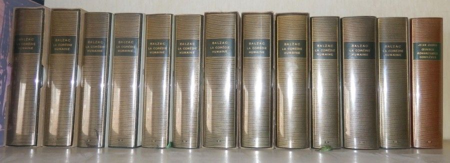 12 volumes de la Pléaide, Balzac, La comédie humaine et 1 volume de la Pléaide, Jean Giono, Œuvres romanesques complètes.