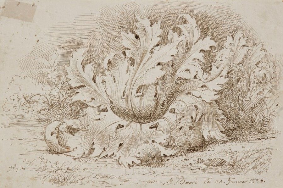 Jean BONI

Étude d'une feuille d'acanthe
Plume et encre brune.
Signée et datée en bas à droite J. Boni le 20 Janvier 1886.
20 x 30 cm
