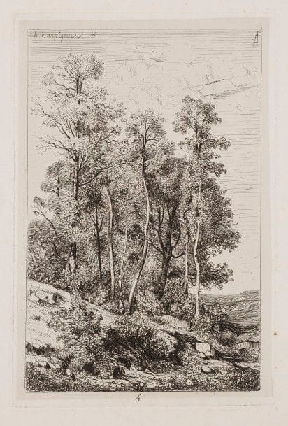 Henri Harpignies (1819-1916)
Arbres. 1848. Eau-forte. 130 x 195. Beraldi 4. Belle épreuve sur chine appliqué. Auréole claire d’humidité dans l’angle supérieur gauche du support. Belles marges.