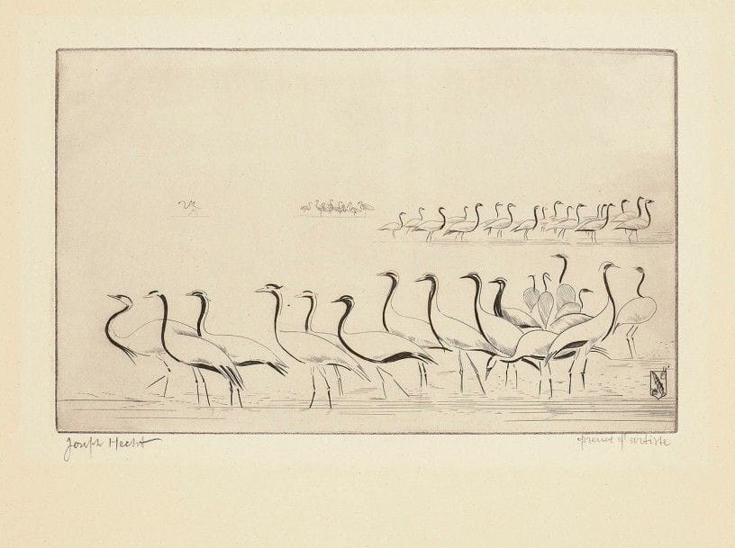 Joseph HECHT (1891-1951)
Flamants roses. Vers 1929. Burin. 260 x 160. Plumart, T.-R. 193. Très belle épreuve sur vergé de Montval ivoire, signée au crayon et annotée « épreuve d’artiste ». Ondulations dues à la pression au tirage. Toutes marges. Pas de tirage connu.