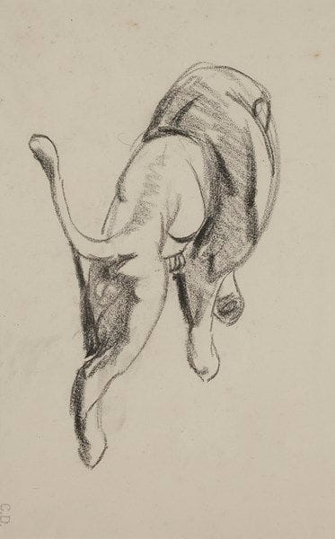 Charles DELHOMMEAU (1883-1970)
Lion couché
Dessin au crayon noir.
Porte le timbre du monogramme en bas à gauche.
20 x 32 cm