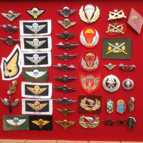 46 Insignes TAP armée Vietnamienne, 32 métalliques et 14 en tissu
