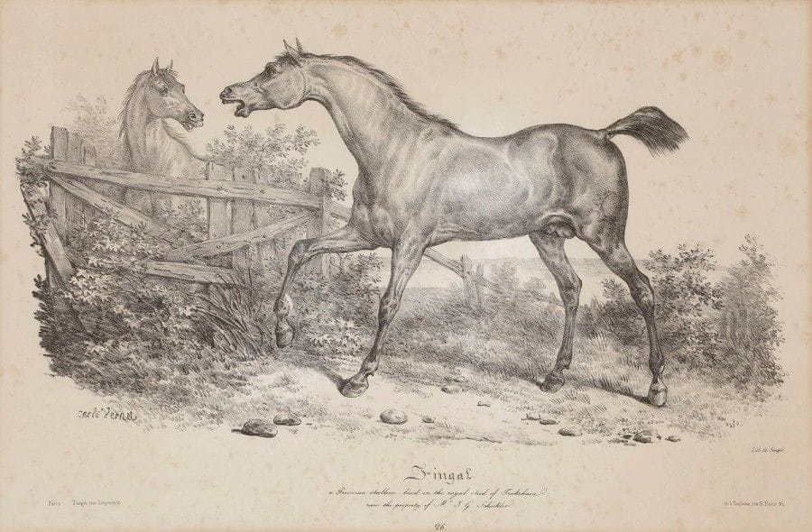 Carle Vernet (1758-1836)
Jazal ; Fingal. 1828. Lithographie. À vue : 500 x 335. Bonnes épreuves sur vélin. Rousseurs claires éparses. Petits arrachements en surface à la 2e. Cadres. Ens. 2 p. 