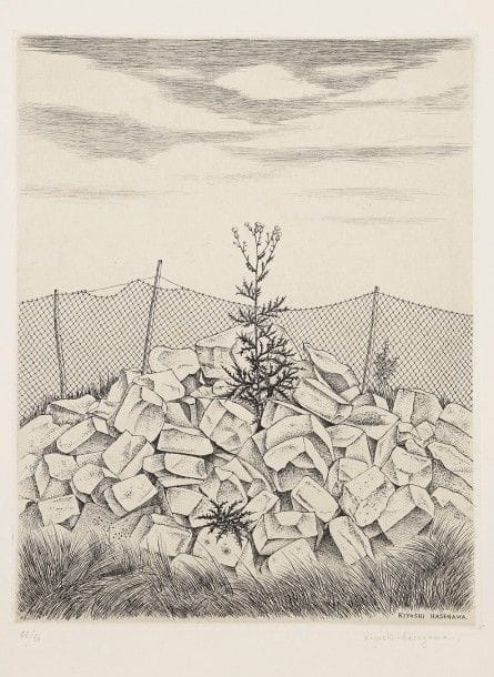 Kiyoshi Hasegawa (1891-1980)
Un chardon. 1953. Eau-forte. 245 x 330. Reifu-Syobo 294. Parfaite épreuve sur vélin blanc, numérotée et signée au crayon. Toutes marges. Timbre sec de l’artiste en pied. Timbre de l’atelier au verso. 
Provenance : succession de l’artiste.