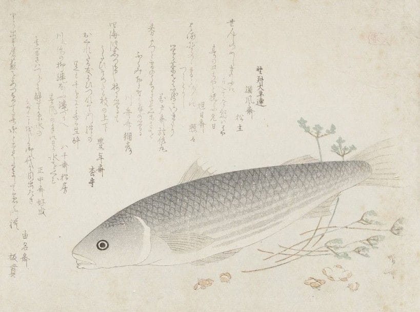 Ryuryukyo Shinsai (1764?-1823) 
Trois surimono, jeune femme préparant un tissu pour le teinter, jeune femme habillant un garçon, et daurade parmi les herbes et les fleurs, avec des poèmes pour le Nouvel An. Les trois signés Shinsai.  On y joint un surimono, jeune femme et sa suite dans une barque. Attribué à Hokusai.
