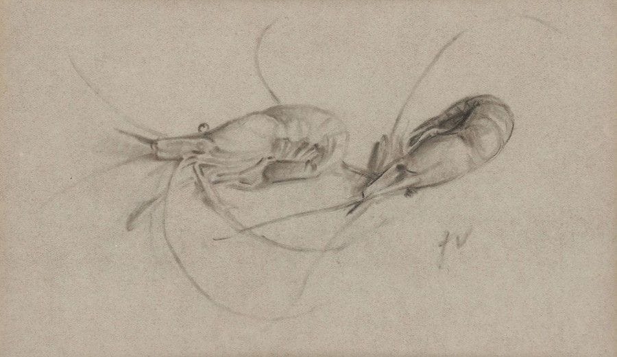 Felix VALLOTTON (1865-1925)
Bouquet de crevettes
Fusain et estompe sur papier teinté.
Monogrammé en bas à droite.
13 x 21 cm

Provenance : 
- Ancienne collection Charles Pacquement.
- Vente Pescheteau-Badin-Godeau-Leroy & de Ricqlès, 28 novembre1999, n°79.

Exposition : 
Première exposition de collectionneurs au profit de la Société des Amis du Luxembourg, Paris, 1924, numéro 228.

Cette œuvre est répertoriée dans les Archives de la Fondation Félix Vallotton.