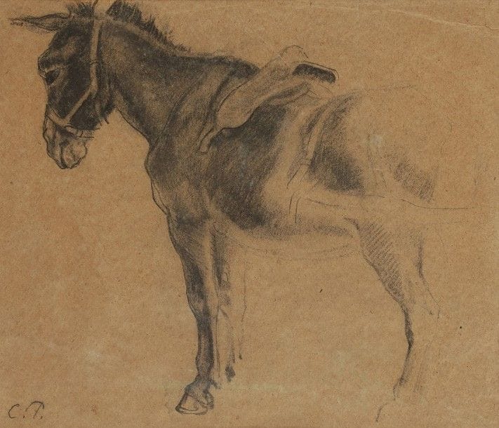 Camille PISSARRO (1830-1903)
Étude d'âne
Dessin au crayon noir.
Monogrammé en bas à gauche.
24,5 x 28 cm

Exposition : 
Galerie André Schoeller, Paris, 31 octobre 1946, n°233.