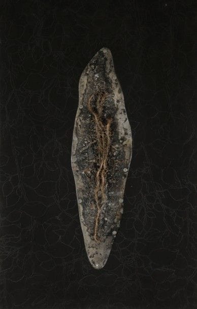 Soon Myung HONG (né en 1959)
Le Jardin à l’aube, Foetus, 1992
Technique mixte sur panneau.
Signée, datée et titrée au dos.
122 x 77 cm