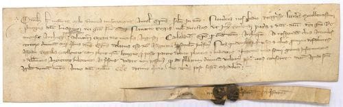 [Louis x dit le Hutin (1289-1316) Roi de France.] Charte de Milon de Chailly, évêque d’Orléans, Saint-Ay [Loiret] vendredi après la Madeleine 1315 ; vélin 6 x 23 cm, fragment de sceau de cire brune aux armes sur queue ; en latin (transcription jointe).
   Il a reçu une lettre du Seigneur Louis, par la grâce de Dieu Roi de France et de Navarre, le convoquant à un concile à Senlis à la réquisition de l’archevêque de Reims [Robert de Courtenay] pour juger des crimes de l’évêque de Chalons [Pierre de Latilly, accusé d’avoir empoisonné son prédécesseur et Philippe le Bel]. L’évêque d’Orléans s’excuse de ne pouvoir s’y rendre à cause de ses infirmités...
