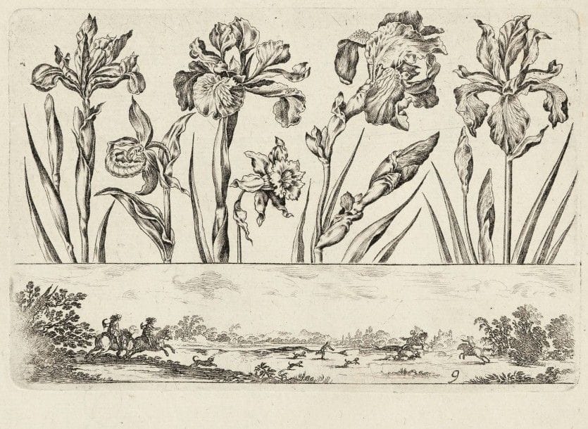 NICOLAS COCHIN L’ANCIEN (1610-1686)
Livre Nouveau de Fleurs très-util pour l’Art d’Orfevrerie, et autres. Eau-forte. 122 x 86. Nagler 8 ; Fuhring 12346. Réunion d’un titre et 11 pl. (sur 12 – manque la pl. 7). Très belles épreuves de la 3e édition à l’adresse de Jollain (vers 1660-1683). Légères rousseurs et taches. La pl. 8 avec fente horizontale en tête, anciennement consolidée au verso (les deux morceaux du sujet mal raboutés). Petites marges. Ens. 12 p.																																														