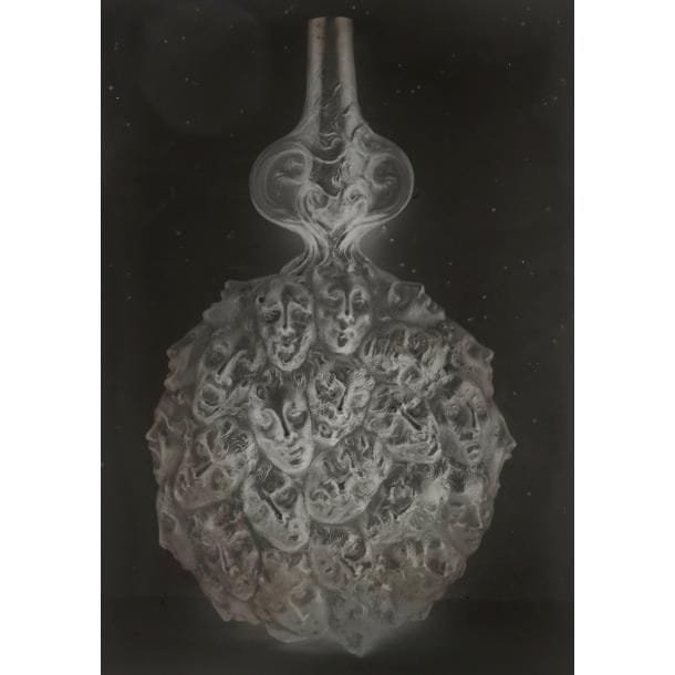 ARCHIVES René LALIQUE (1860-1945)
La femme et le corps féminin, masques, dragons, serpents, félins
Exceptionnel ensemble de 14 plaques sèches au gélatino-bromure d’argent (en négatif) formant prises de vues, réalisées à l’époque, de modélos en plâtre de broches, de pendentifs, de colliers, de bracelets, de boucles de ceinture, de pectoraux, de montures, etc. exécutés dans les ateliers de l’artiste. Vendues dans le coffret d’origine. Circa 1900. Chaque plaque?: 33?x?26,7?cm
