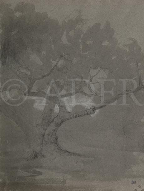 Louis APPIAN (1862-1896)
Arbres ployés
Fusain, lavis d’encre de Chine et craie blanche sur vergé gris.
Timbre de l’atelier dans l’angle inférieur droit.
62 x 48 cm