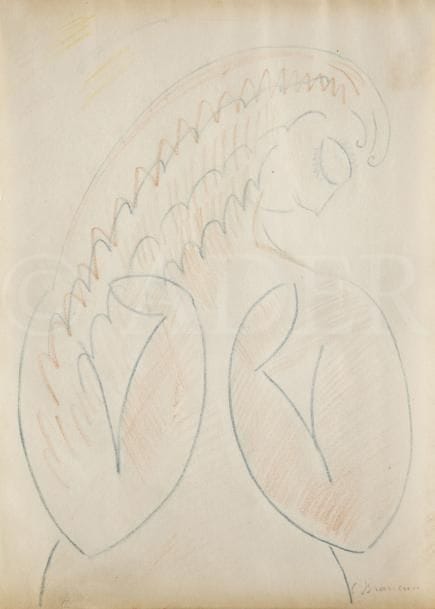Constantin BRANCUSI (1876-1957)
étude de femme, vers 1911-12
Mine de plomb et rehauts de crayon de couleurs.
Signé en bas à droite.
(Petite déchirure en pied, et légère insolation).
25,9 x 18,6 cm

Provenance :
Collection Jean Cottel. Acquis directement de ses descendants par l’actuel propriétaire.
Un portrait de Brancusi par Jean Cottel réalisé en 1945 et situé « impasse Ronsin » témoigne des échanges qui purent exister entre les deux hommes. (Provenance : vente Loudmer, Paris, 25 mars 1968).

L’authenticité de cette œuvre a été aimablement confirmée par Madame Margit Rowell.

Notre dessin est à rapprocher de l’étude de femme, crayon bleu et brun sur papier, 43,1 x 27 cm, collection particulière, reproduit in Margit Rowell, Ann Temkin, Constantin Brancusi, 1876-1957 : expositions, Centre Georges Pompidou, Paris, du 14 avril au 21 août 1995, Philadelphia Museum of Art, Philadelphie, du 8 octobre au 31 décembre 1995, Paris, Gallimard, 1995, n°113, p. 291.
Il fait partie d’une série de dessins qui selon Margit Rowell « rappellent la sculpture de Femme se regardant dans un miroir de 1909 […] et préfigurent la Princesse X, de 1916. Exécutées pour la plupart aux crayons de couleur, on y retrouve, comme dans la première sculpture, la tête inclinée et la chevelure ondulée, motifs réduits à une expression synthétique dans la seconde.
Il semble que la source d’inspiration ait été une illustration, conçue pour les Mille et une Nuits, par le peintre portugais Souza Cardoso, ami de Brancusi […]. Mais on peut également rapprocher les formes généreuses et le traitement décoratif de ces dessins de l’art gupta de l’Inde. Hypothèse assez vraisemblable, puisque l’on sait qu’à l’époque Brancusi fréquentait les collections asiatiques parisiennes.
L’emploi de crayons de couleur, comme le fait Modigliani en 1911-1912, qui, à la même période, fréquentait aussi les collections asiatiques, rapproche ces deux art