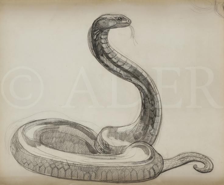 Paul JOUVE (1880-1973)
Cobra dressé, 1924
Encre de Chine et mine de plomb.
43 x 51 cm

Provenance : 
Collection personnelle de l’artiste, par descendance, jusqu’à l’actuel propriétaire.

Bibliographie : 
- L’Art et les Artistes, « Paul Jouve », n°51, novembre 1924, numéro entièrement consacré à Paul Jouve, dessin reproduit p. 37.
- Félix Marcilhac, Paul Jouve. Vie et œuvre, Paris, Éditions de l’Amateur, 2005, dessin reproduit p. 35.
- Christian Eludut, Le Monde Animal dans l’Art Décoratif des années 30, Paris, Éditions BGO, 2007, dessin reproduit p. 45.