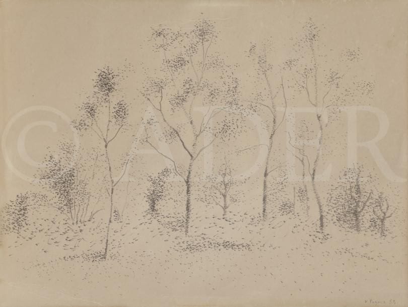 Véra PAGAVA (1907-1988)
Arbres en automne, 1953
Mine de plomb.
Signé et daté en bas à droite.
22 x 29 cm