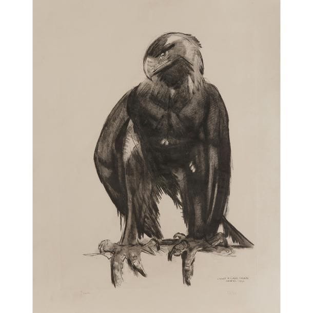 Paul JOUVE (1878-1973)
Aigle à l'aile cassée, œuvre conçue vers 1927, d'un tirage à 50 exemplaires
Eau-forte sur papier Japon.
Signée JOUVE au crayon en bas à gauche, numérotée 37 / 50 au crayon en bas à droite, titrée, située et datée L'aigle à l'aile cassée, Anvers, 1937 dans la planche.
Feuille : 77,2 x 62 cm
Bibliographie :
Paul Jouve, peintre sculpteur animalier - Félix Marcilhac, Les Éditions de l'Amateur, Paris, 2005. Œuvre identique reproduite page 365.
