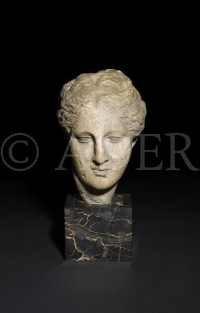 Tête d’Hygie
Moulage d’après l’Antique reposant sur un socle en marbre portor.
H : 29 cm