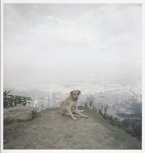 SOTH, Alec (1969)
Dog days Bogota.

Steidl, 2007.

In-8 (22 x 22 cm). Édition originale, signée en page de titre par Alec Soth. Reliure d'éditeur sous jaquette illustrée.