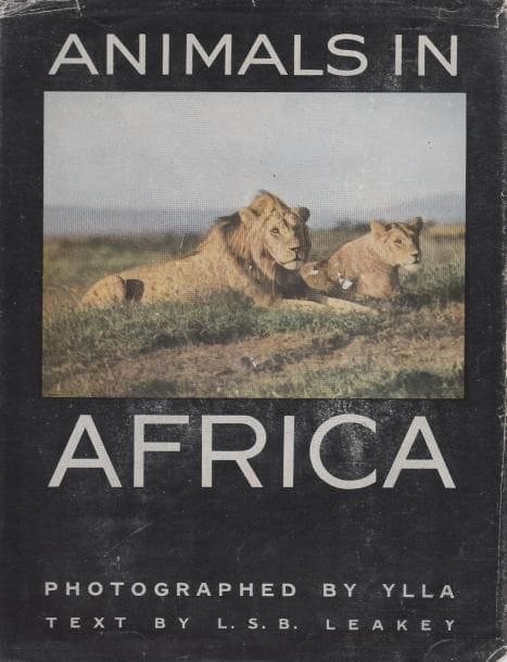 Ylla (1911-1955)
Animals in Africa.

Harper & Brothers, s.d.

In-4 (28 x 23 cm). Édition originale, signée et dédicacé  par Ylla. Relié avec jaquette (usures à la jaquette). Une photographie originale d'Ylla envoyée par elle comme carte de vœux est jointe au livre (plis à deux coins).

