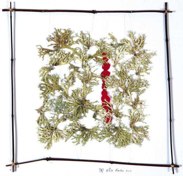 Hélène BARBE (Née en 1943)
Lichens de Vauvenargues Végétaux et fil de pêche. Signé et daté «2010» en bas à droite. 40 x 40 cm
