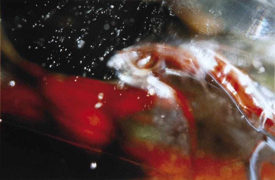 Yolande FINKELSZTAJN
L'animal merveilleux Photographie argentique en couleur numérotée 5/30. Signée au dos, datée «1998» et titrée. 24 x 36 cm