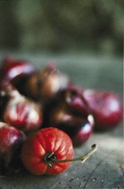 Laurent FERRIERE (Né en 1964)
Derniers jours au potager Photographie en couleur numérique, tirage digigraphique. 40 x 30 cm