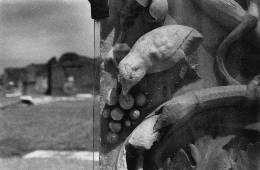 Colette PORTAL (Née en 1936)
Prise de vie - oiseau Photographie noir et blanc, tirage argentique numéroté 1/9. Signé en bas à droite. Cachet d'artiste. Daté au dos «été 1996», titré et situé «Pompéi». Encadré. 30 x 40 cm