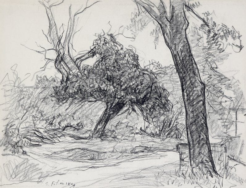 Serge FOTINSKY (1887-1971)
Paysage aux arbres Fusain. Signé en bas vers la gauche. 31 x 41 cm 