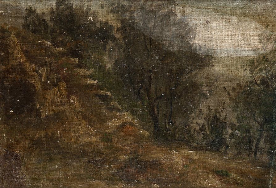 ECOLE FRANCAISE FIN XIXEME
Paysage de forêt Huile sur toile marouflée sur panneau. 19 x 26.50 cm 