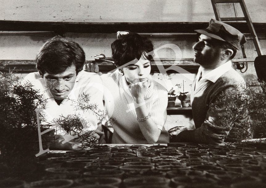 La novice (Lettere de una novizia), 1960. de Alberto Lattuada, avec Jean-Paul Belmondo et Pascale Petit. 22 épreuves argentiques d'époque. Tampon de presse et étiquette du film aux versos. Formats : 24 x 18 et 27 x 21 cm.