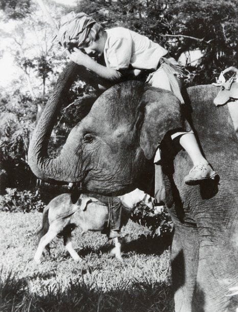 Swiss family Robinson (Les Robinsons des mers du sud), 1960. De Ken Annakin, avec Dorothy Mc Cuire et John Mills. Six contretypes d'époque. Tampon Look Magazine aux versos. 21,5 x 16,5 cm.
