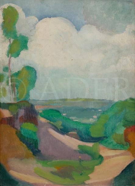 Willem VAN HASSELT (1882-1963)
Paysage
Huile sur toile.
Signée en bas à gauche.
33 x 24 cm