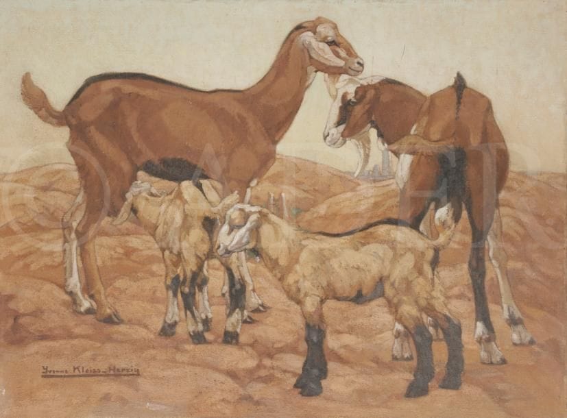 Yvonne KLEISS-HERZIG (1895-1968)
Chèvres
Huile sur toile.
Signée en bas à gauche.
(Petits accidents).
60 x 81 cm