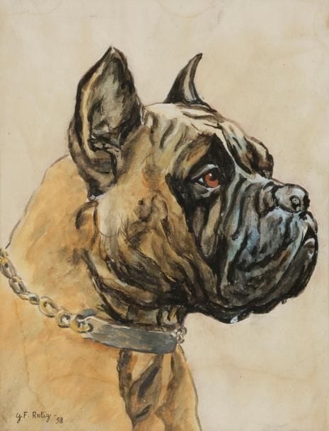 Georges Frédéric RÖTIG (1873-1961)
Bullgdog, 1958
Aquarelle.
Signée et datée en bas à gauche.
(Traces d’humidité).
20.5 x 15.5 cm