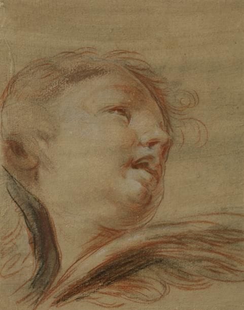 ÉCOLE FLAMANDE vers 1700
Tête de putto
Sanguine, pierre noire et craie blanche sur papier marouflé sur carton.
25.5 x 20.5 cm
