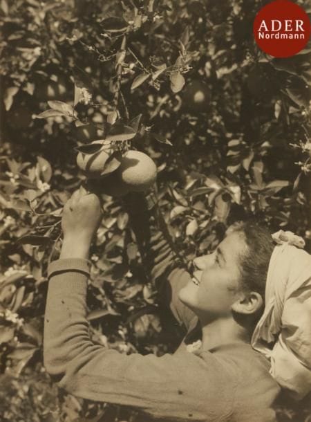 [PHOTOGRAPHIE]
Joseph SCHWEIG (Né en 1936)
Israël : Album de 26 photographies  : Keren Hayesod, Jerusalem. c. 1950. Dans un emboitage in-folio.

Mots clés : judaica, jewish, hebreu, hebrew, rabbin, synagogue, juif, juive, israélite, hebraica, judaism, torah, juden, sionism