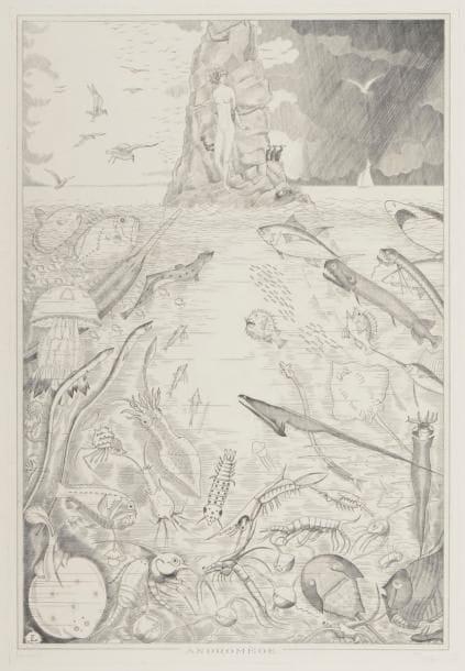 Jean-Émile Laboureur (1877-1943) 
Andromède. 1935. Burin. 330 x 485. Laboureur 504. Très belle épreuve sur vélin, signée et numérotée au crayon. Courtes déchirures, petites salissures claires et accrocs en tête du feuillet. Restes de kraft gommé en tête au verso. Toutes marges. Tirage à 85 épreuves. 