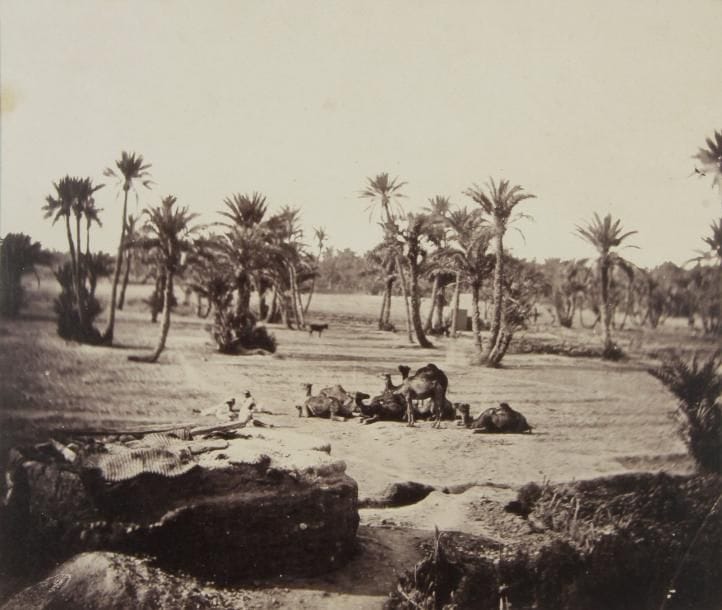 Claude-Joseph Portier (1841-?) - Rozier photographe - Photographie Clavier et divers 

Algérie, c. 1860-1870. 

Fête à la mosquée de Sidi Abderrhamann. Biskra. Sidi-Zerzour. Campement de tribu nomade et arabe. Constantine. Inétieur du palais de la Division. Étude d'Olivier. Intérieur mauresque;

15 épreuves sur papier albuminé contrecollées sur cartons. Nombreux crédits de photographes et légendes sur les montages. 

Formats : de 9 x 13 à 14,5 x 29 cm 