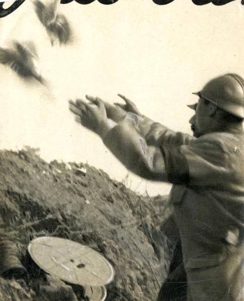 Photographe non identifié 

Première Guerre mondiale, 1914-1918. 

Laché de pigeons-voyageurs depuis les tranchées par des soldats. 

Épreuve argentique d'époque rehaussée à l'encre contrecollée sur carton.

24,2 x 20 cm 