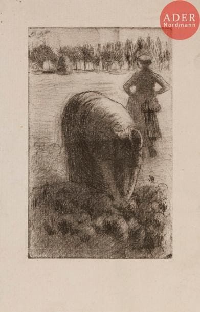 Camille PISSARO
Femme cueillant des choux. 1888. Eau-forte. 98 x 60. Delteil 77. Très belle et unique épreuve sur vergé, du 6e état (sur 7), tirée légèrement de guingois, annotée en pied au crayon « 6e état ». Toutes marges. Tirage à 17 épreuves (tous états confondus) du vivant de l’artiste puis à 24 épreuves posthumes.