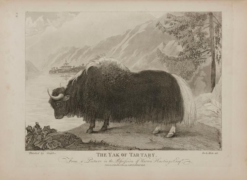 TURNER (Samuel).
An account of an embassy to the court of the Teshoo Lama, in Tibet ; containing a narrative of a journey through Bootan, and part of Tibet.
Londres : W. Bulmer pour G. et W. Nicol, 1800. — In-4, 323 x 252 : xxviii, 473 pp., (2 ff. blancs), 1 carte, 13 planches. Veau raciné, filets et fers dorés en encadrement sur les plats, dos lisse orné, roulette dorée intérieure, tranches jaspées (reliure du XXe siècle).{CR}Édition originale.
Cet important ouvrage est la relation du voyage que l’explorateur et diplomate britannique Samuel Turner (1759-1802) fit au Tibet de 1783 à 1784. Sa mission était notamment d’assurer les bonnes relations et le commerce entre le Tibet et la Compagnie des Indes orientales.
Il s’agit du tout premier récit d’un voyage au Tibet raconté par un auteur britannique. Il sera publié en français la même année.
Turner nous livre un témoignage des plus précieux quant aux usages, aux mœurs et aux institutions du Bhoutan et du Tibet à la fin du XVIIIe siècle. Le récit est complété d’observations sur la botanique, la minéralogie et la médecine par Robert Saunders.
Jérôme Monod, en 2010, disait ceci à propos de cette relation : « En parcourant le récit de Samuel Turner, le lecteur comprendra ce qui reste inchangé dans les relations du Bhoutan avec le Tibet et la Chine. Ce récit, relaté voici plus de deux siècles, constitue un document historique d’une grande actualité. Certaines observations de Turner ont des raisonances très actuelles… » (Jérôme Monod, Le Bouthan, à contre-courant du monde, 2010).
L’édition est illustrée d’une carte dépliante gravée par J. Walker, représentant le trajet pris par l’ambassade, d’une gravure dans le texte et de 13 planches dont 9 gravées par James Basire d’après les compositions du lieutenant Samuel Davis, 2 gravées par le même d’après Samuel Turner, une aquatinte composée par De la Motte d’après Stubbs, et une planche d’écriture dépliante.
UN DES EXEMPLAIRES SUR GRAND PAPIER, en reliure